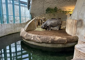 ACHTERBERG INGENIEURE - Home-NASHORNHAUS